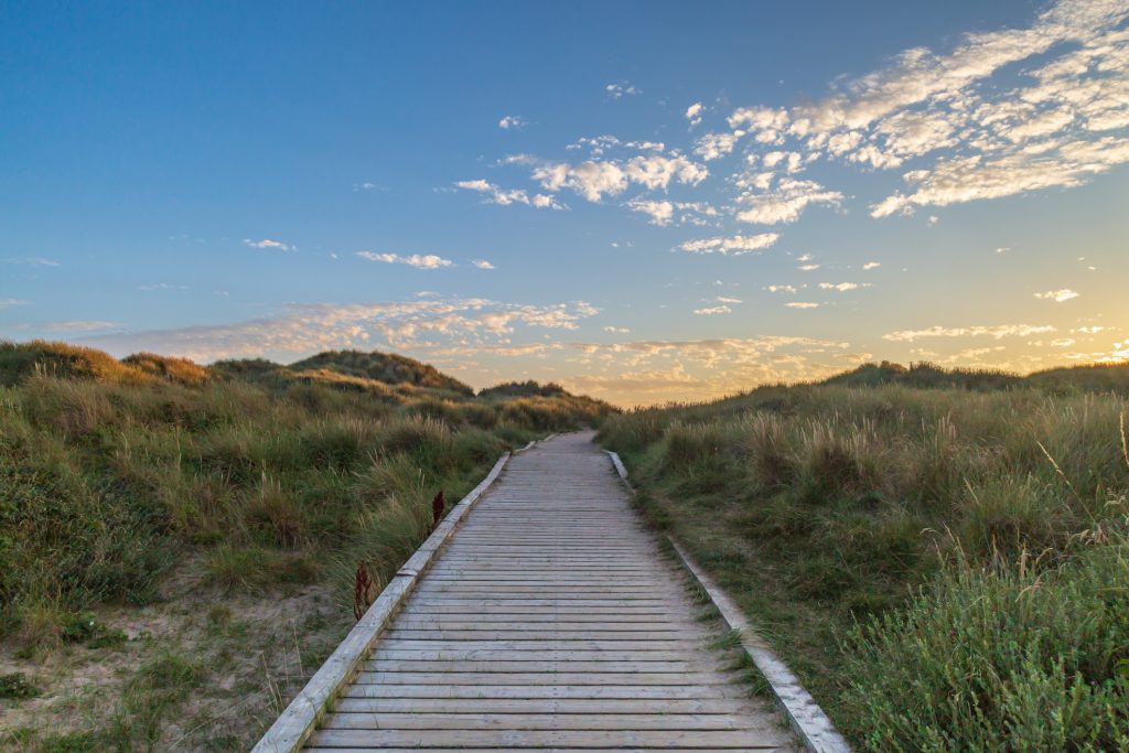 Formby Beach Pathway