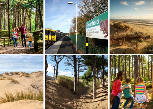 Formby Pinewoods and Beach - Montage of images