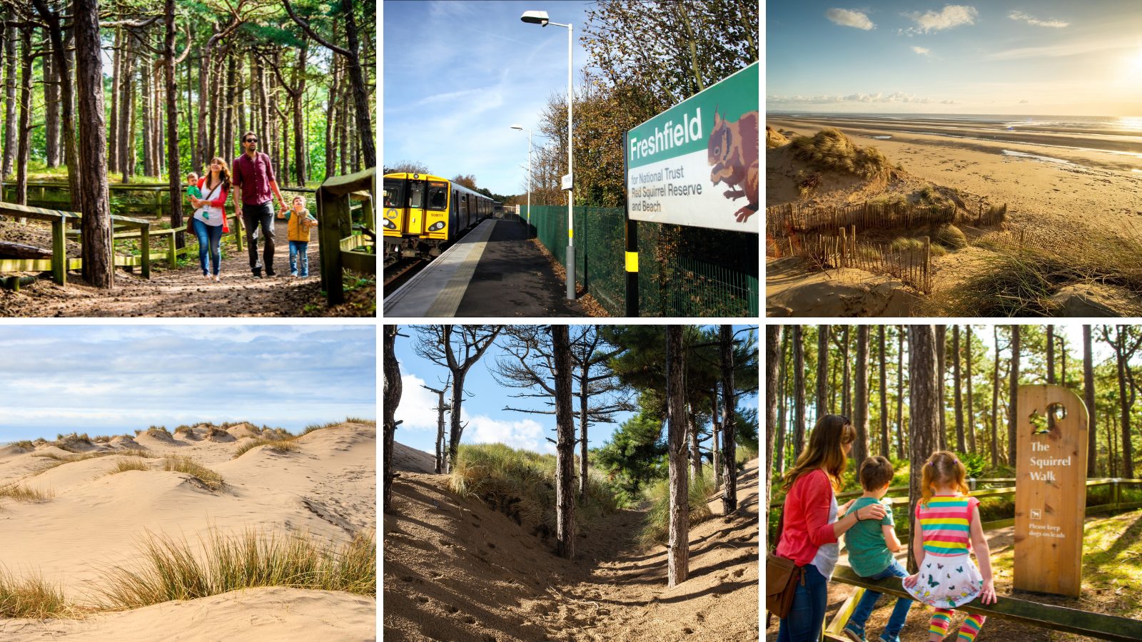 Formby Pinewoods and Beach - Montage of images