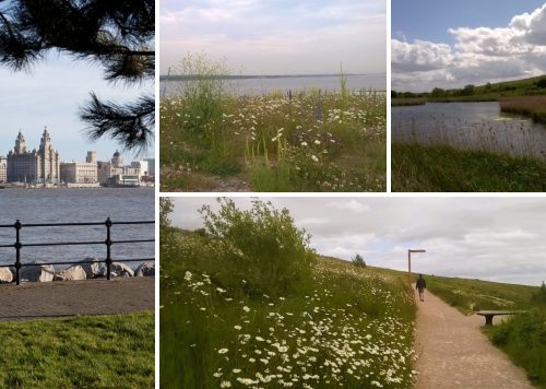 Port Sunlight River Park montage