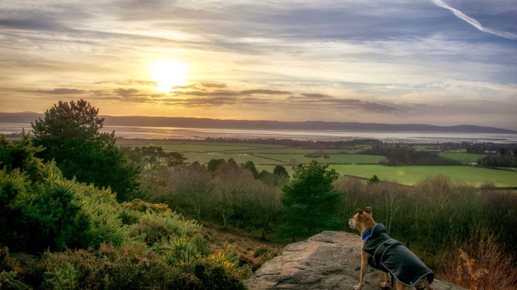 WIRRAL COUNTRY PARK AND THE WIRRAL WAY: SLOW TRAVEL DONE PROPERLY