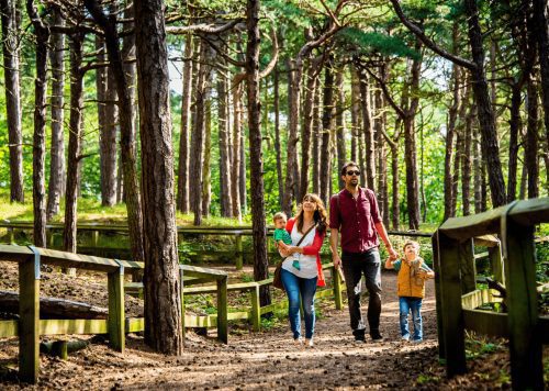 A family walking through woodland